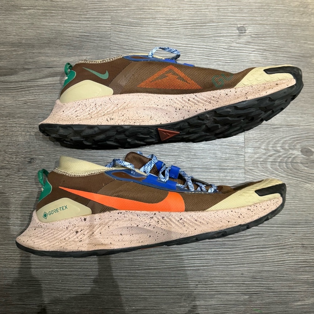 Nike Pegasus Trail 3 Goretex